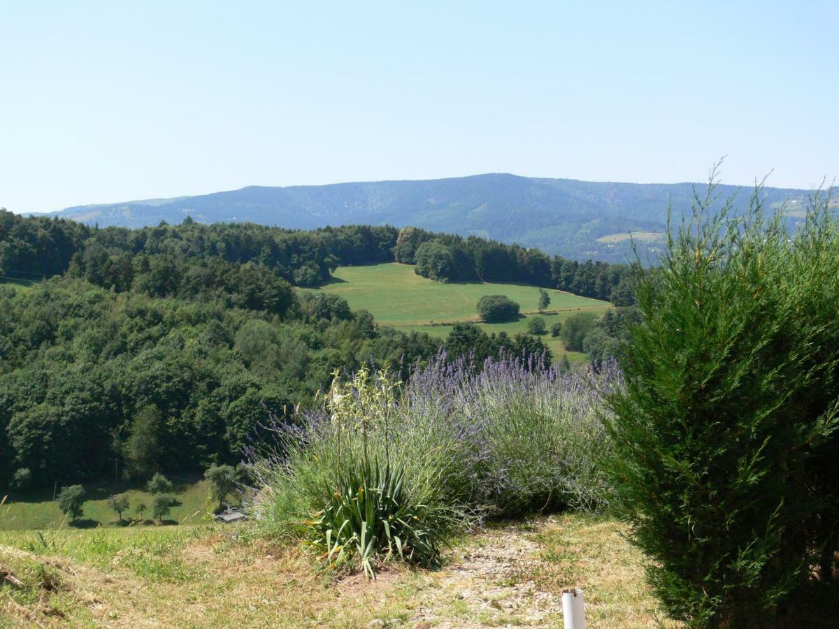 Gite La Sapiniere Labaroche Exterior foto